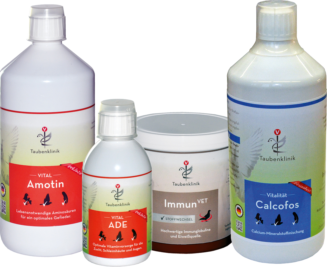 Taubenklinik Zucht Paket 