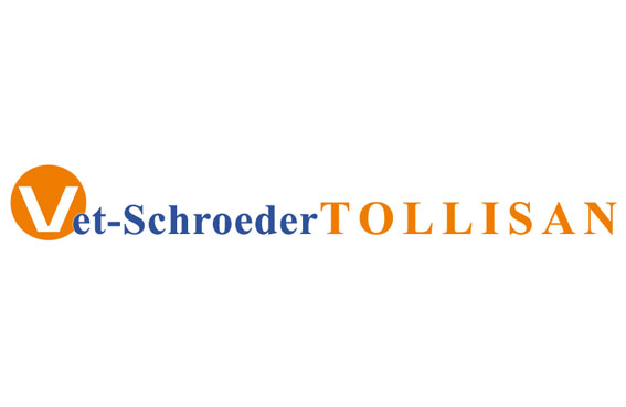 Tollisan Tollisan
